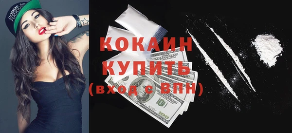 дживик Аркадак