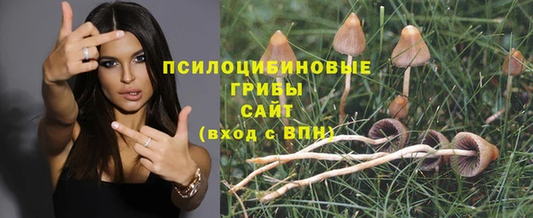 apvp Арсеньев