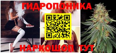 трава Гусь-Хрустальный